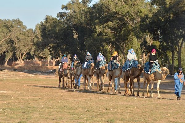 Camel ride in Agadir