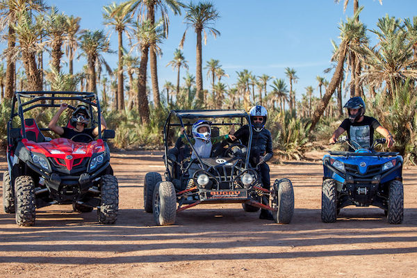 Buggy in Marrakech at the Palmeraie