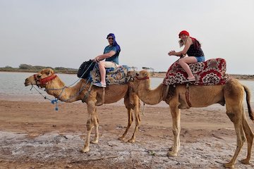 Agadir camel ride - Taghazout camel ride