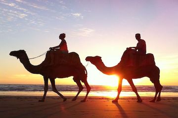 Barbecue sunset Camel ride in Agadir
