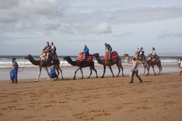 Camel ride tour in Taghazout