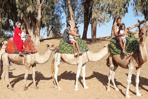 Camel rides in Agadir morocco