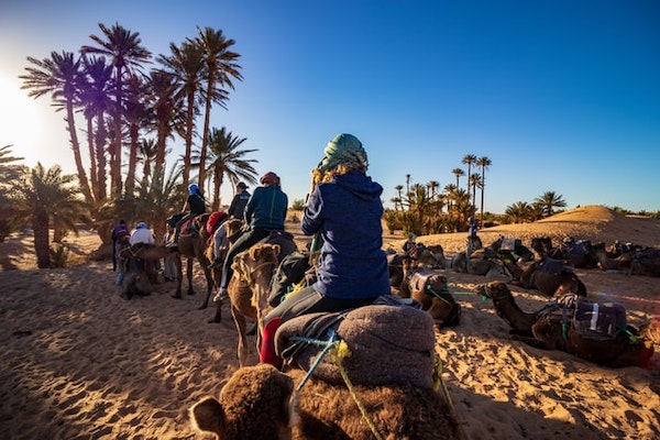 Camel riding in Marrakech 