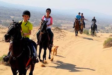 Agadir Horse ride, Horse Ride in Agadir