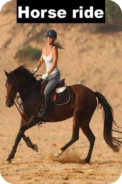 Horse ride agadir, horse ride taghazout