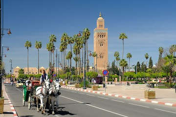 Marrakech day excursion from Agadir