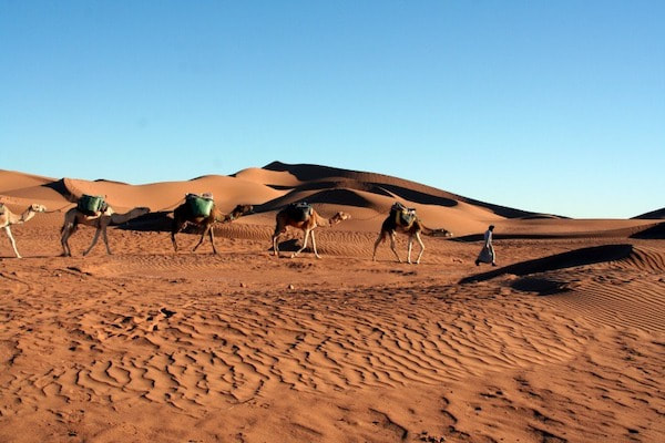 Zagora desert from Agadir